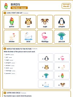 First page of First Words: Birds, Pre-A1 worksheet