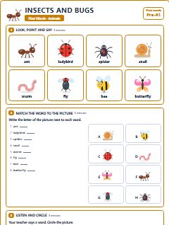 First page of First Words: Insects and Bugs, Pre-A1 worksheet