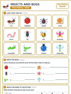 First page of Picture Dictionary: Insects and Bugs, Pre-A1 vocabulary list