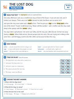 First page of The Lost Dog, A2 reading text