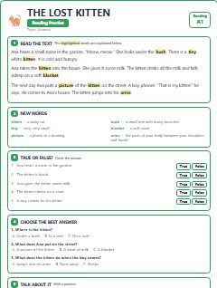 First page of The Lost Kitten, A1 reading text